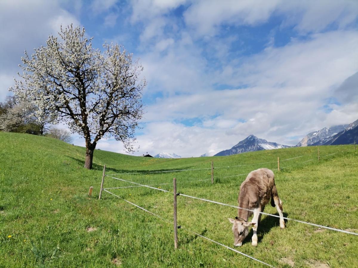Ferienhaus Weber-Haeusl Reith im Alpbachtal Bagian luar foto